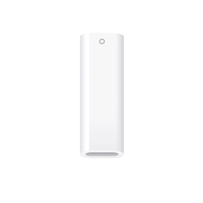 USB-C to Apple Pencil Adapter ORIGINAL (MQLU3) 4665299809419 - фото 77857