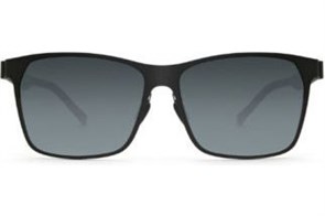 Солнцезащитные очки Xiaomi TS Turok Steinhardt Traveler [] SM007-0220