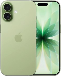 iPhone 17 256Gb Sage, зеленый (MG6N4) (Без RuStore) MG6N4